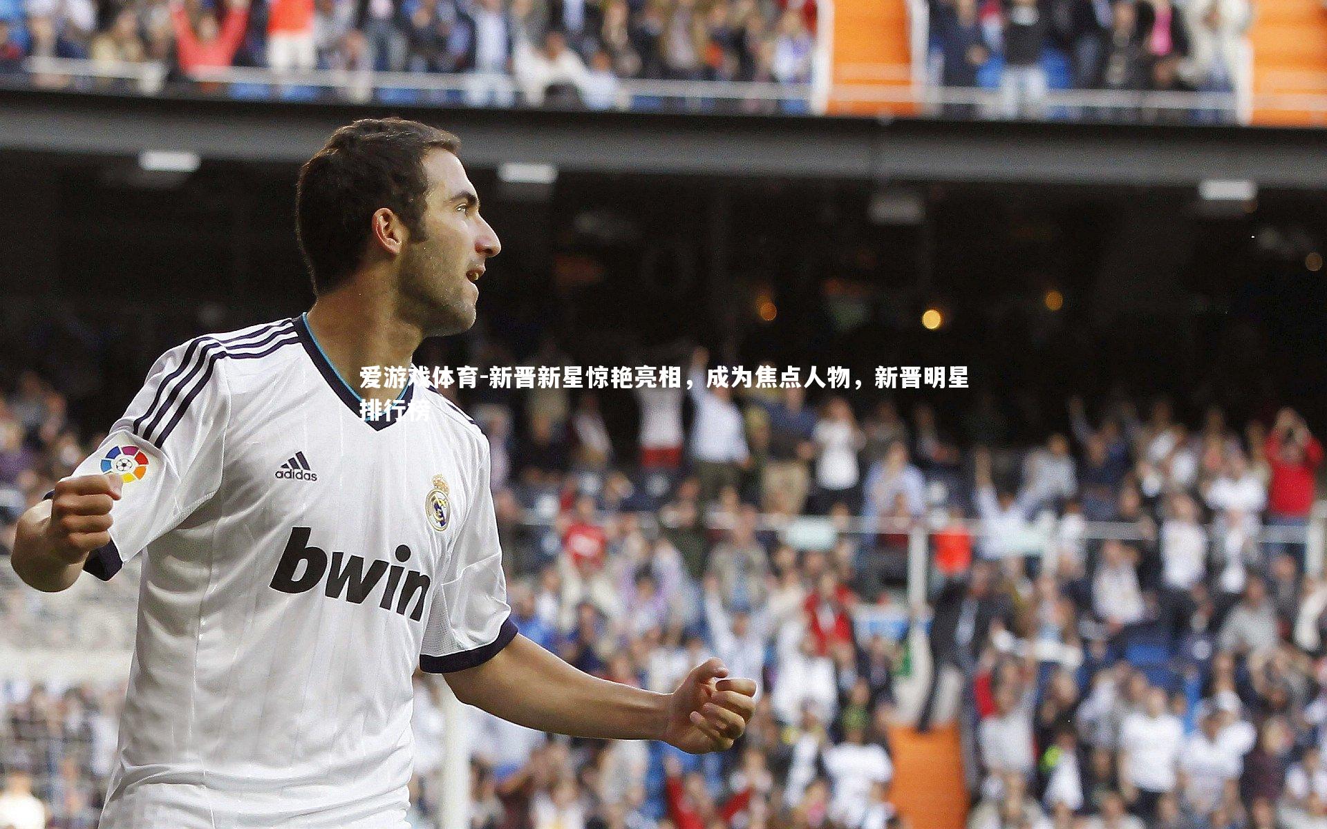 新晋新星惊艳亮相，成为焦点人物，新晋明星排行榜