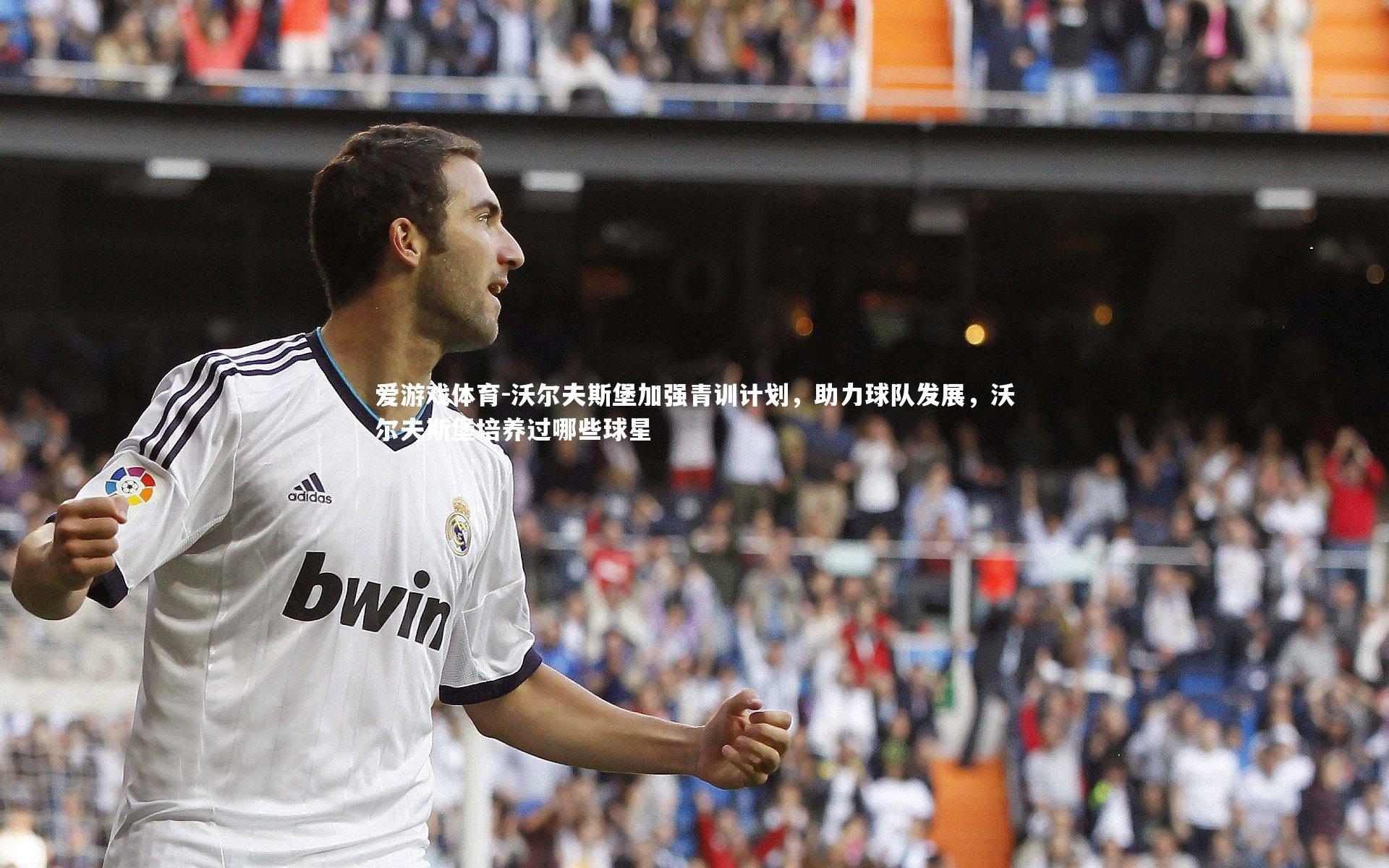 沃尔夫斯堡加强青训计划,助力球队发展,沃尔夫斯堡培养过哪些球星