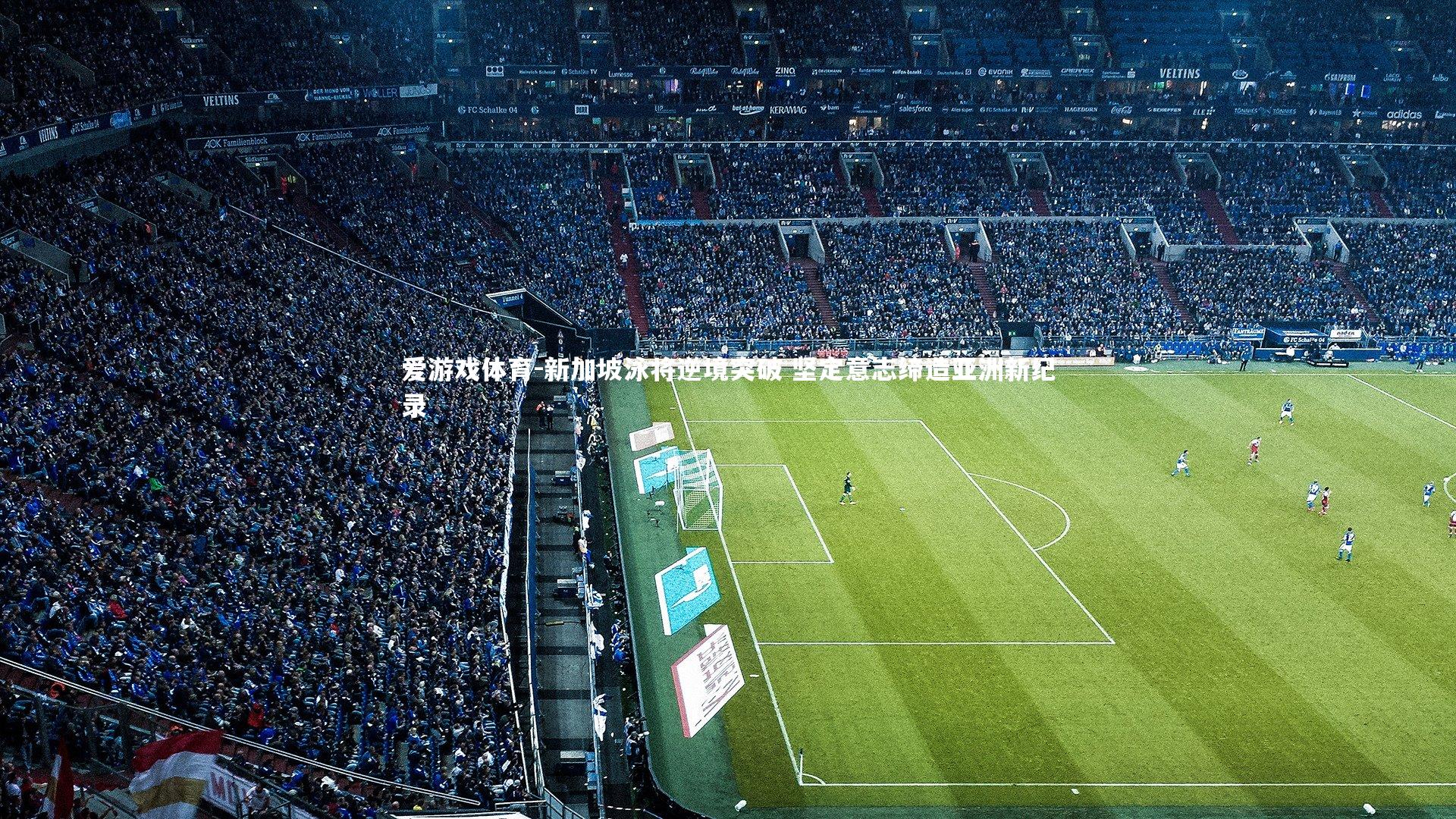 爱游戏体育-新加坡泳将逆境突破 坚定意志缔造亚洲新纪录