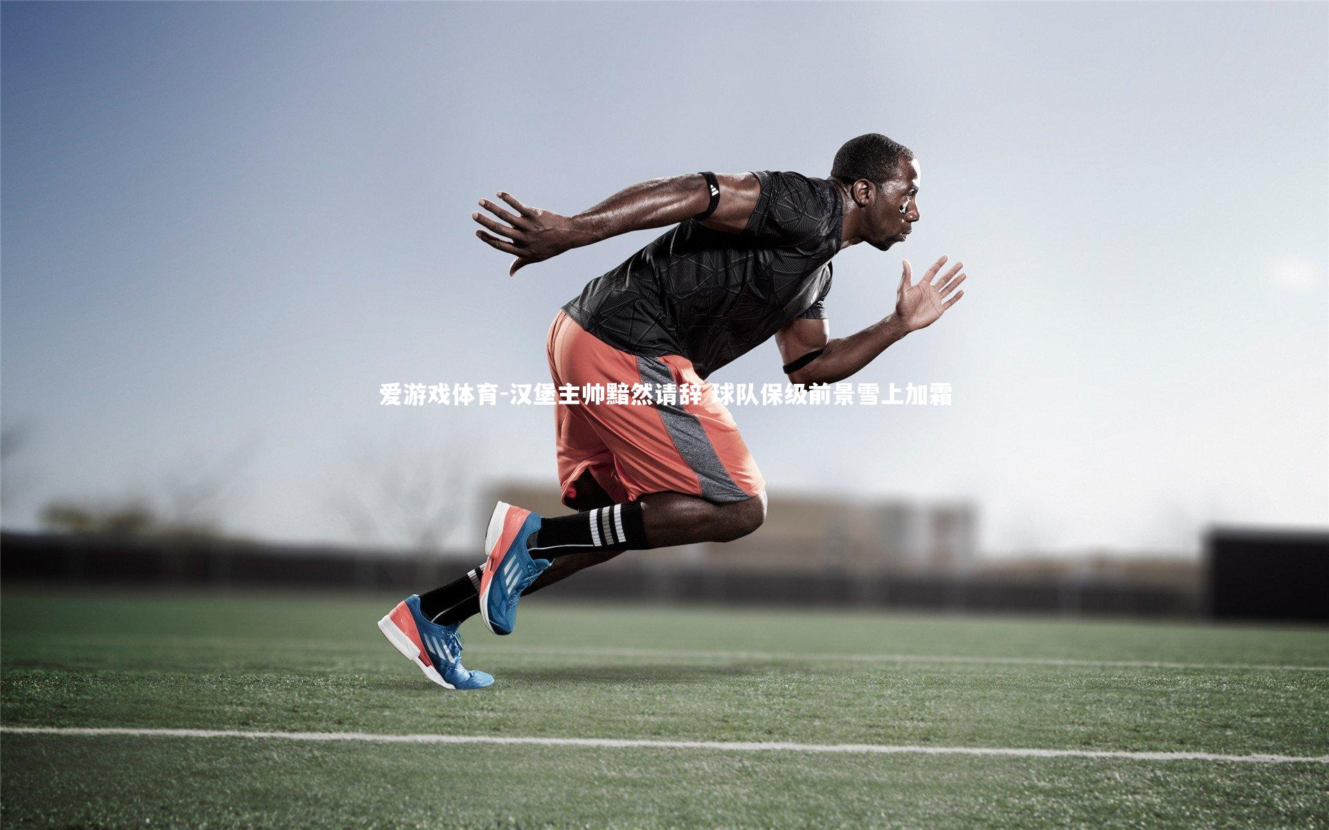 汉堡主帅黯然请辞 球队保级前景雪上加霜