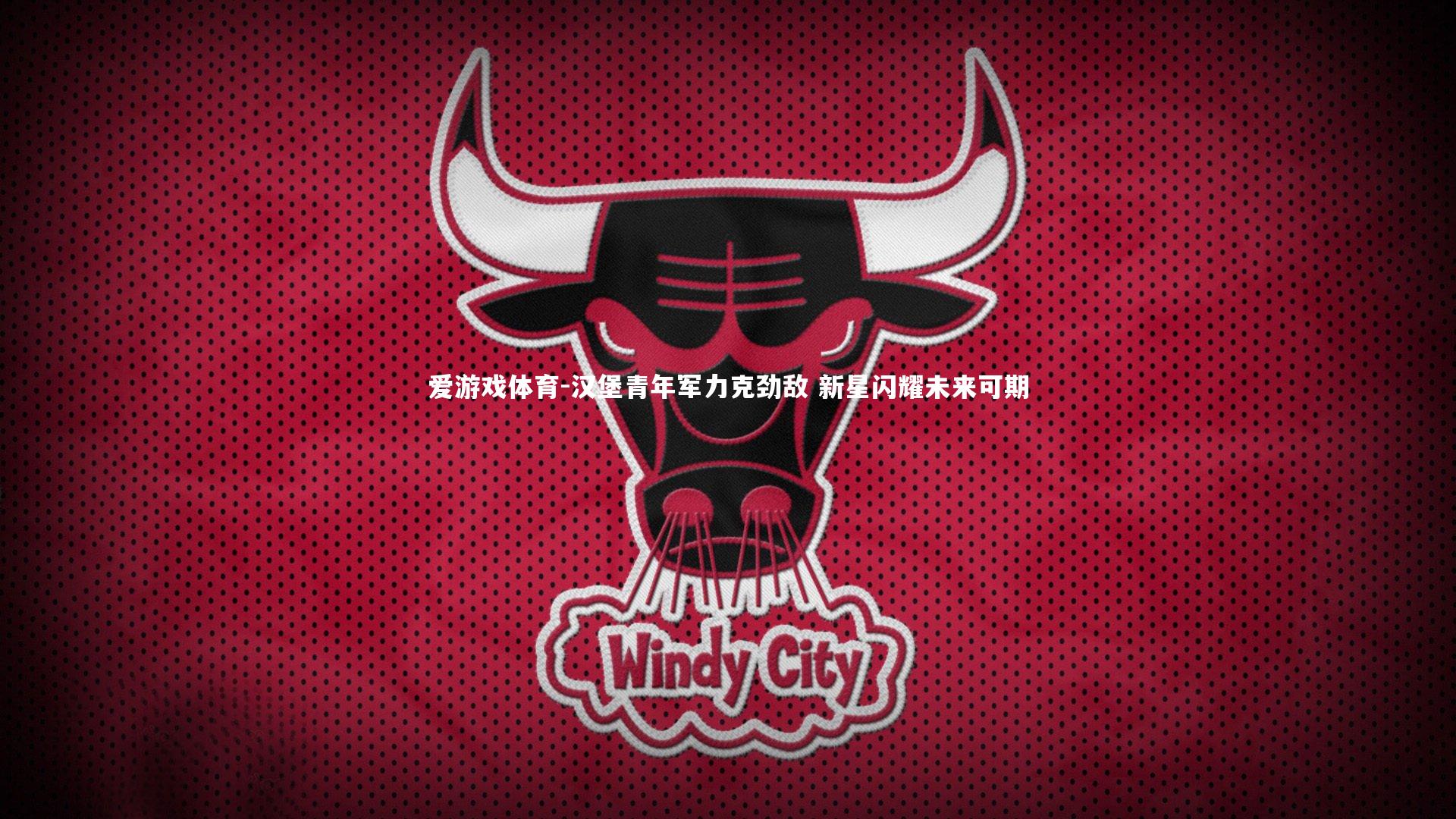 汉堡青年军力克劲敌 新星闪耀未来可期